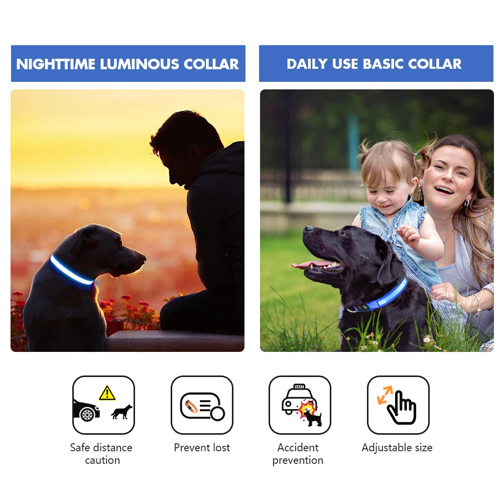 MASBRILL LED Dog Collar Luminous Pet Supplies Dog Collar Waterpoof Safety Glow Necklace Flashing Lighting Up Collars Accessories