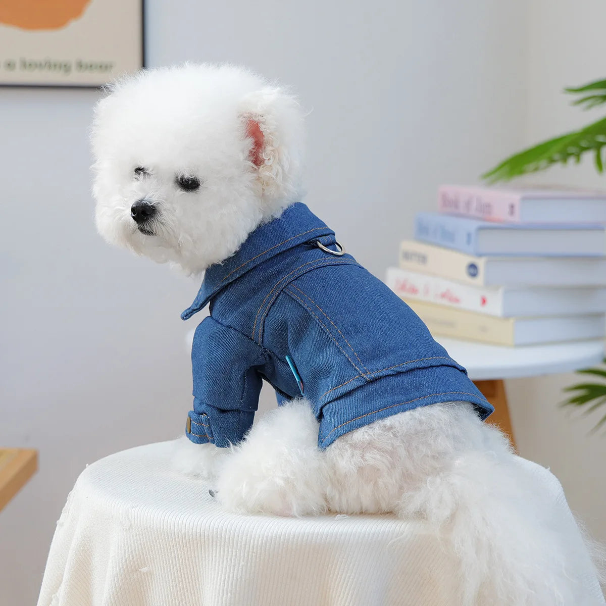 Pet Denim Vest Vintage Style Jean Jacket For Dogs Everyday