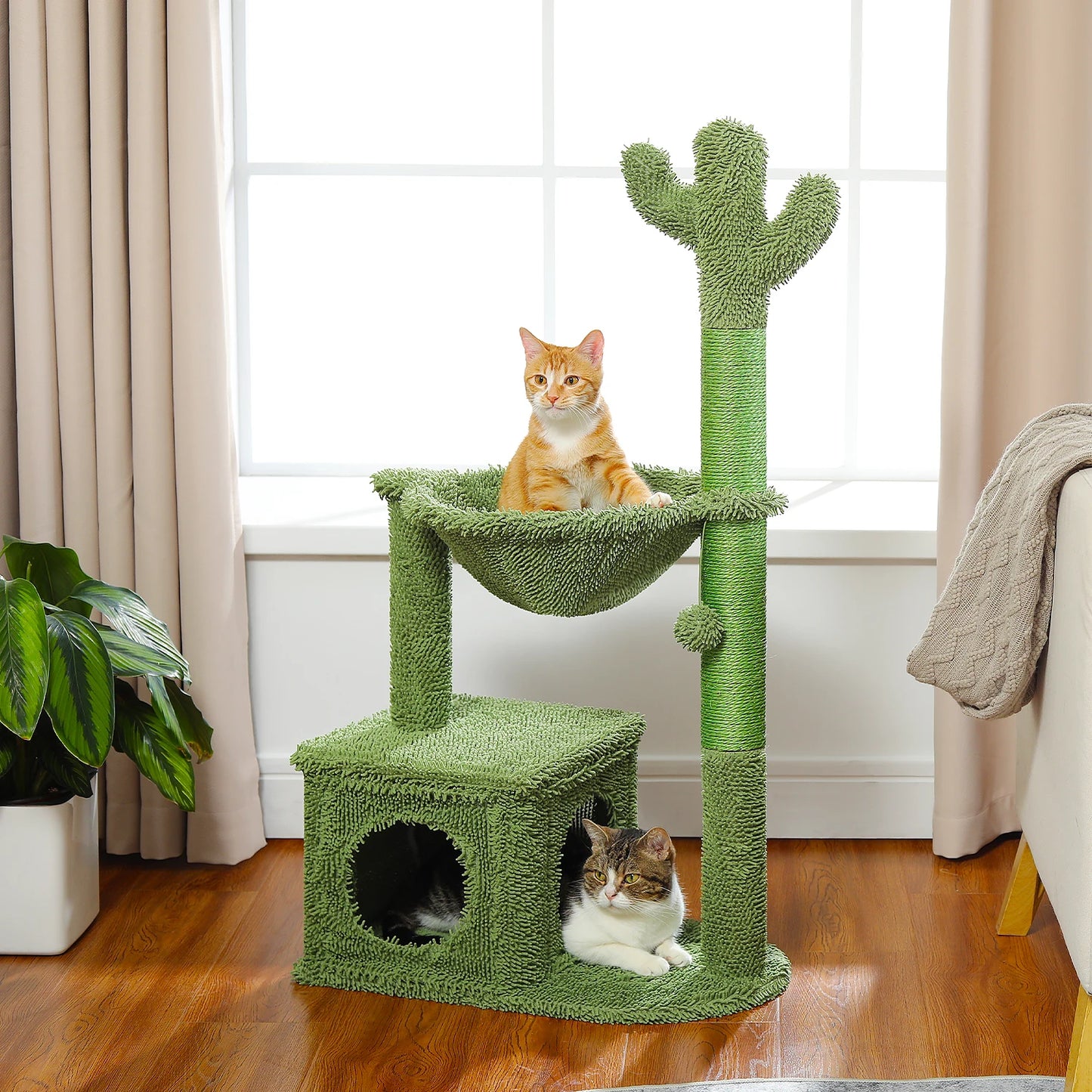 PEQULTICN Cactus Cat Tree Indoor Condo And Hammock Stand