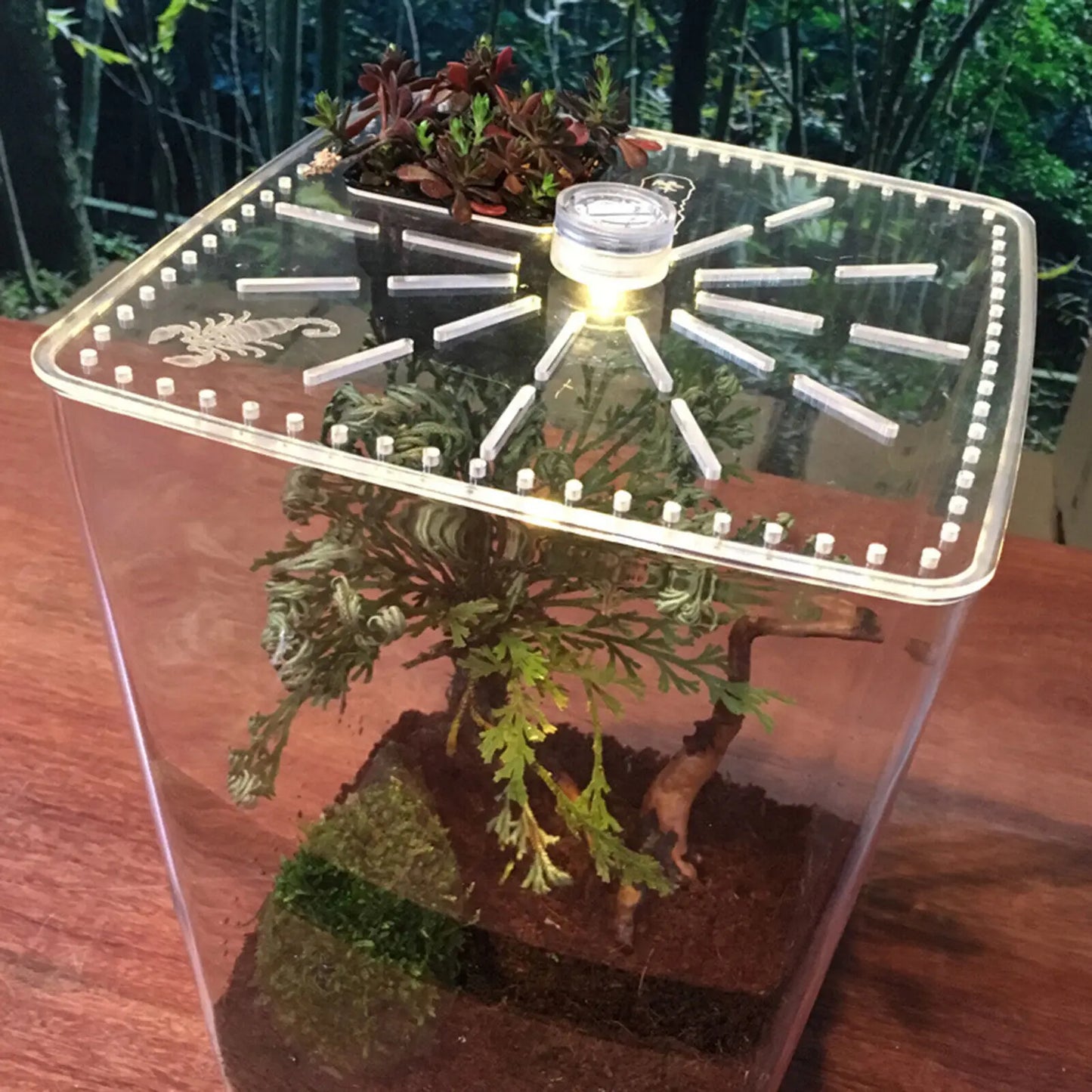 Large Acrylic Reptile Terrarium Gecko Lizard Enclosure