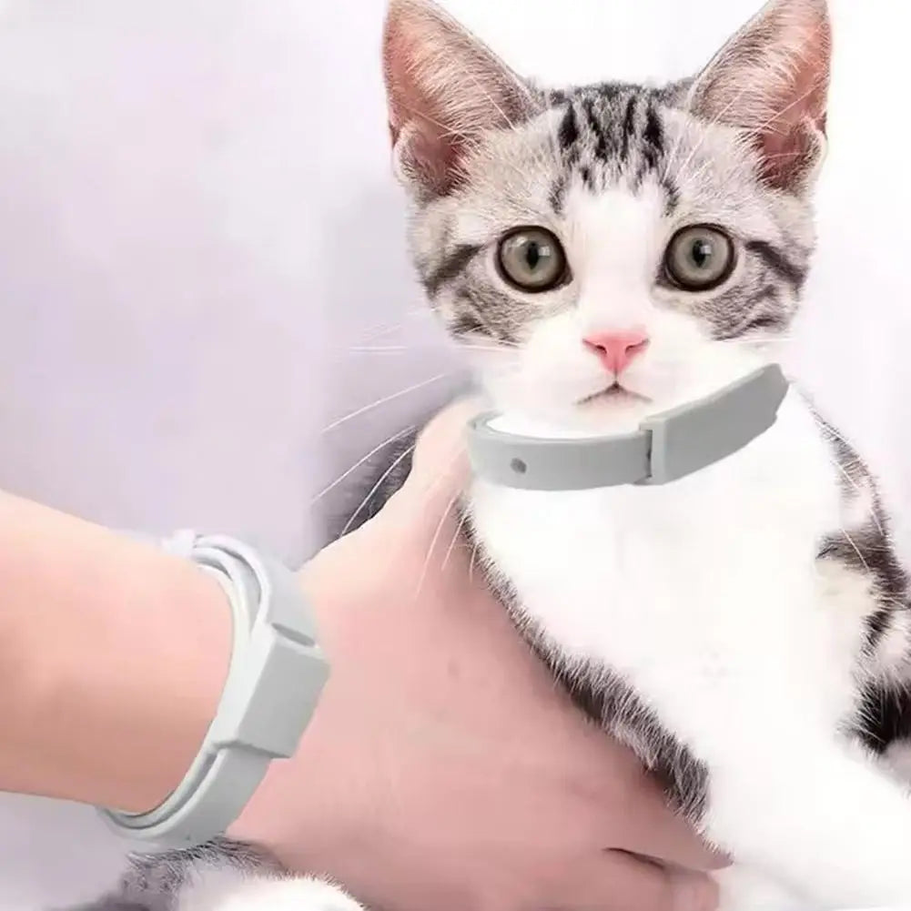 Anti Flea Tick Collar for Cats and Dogs 8 Month Protection