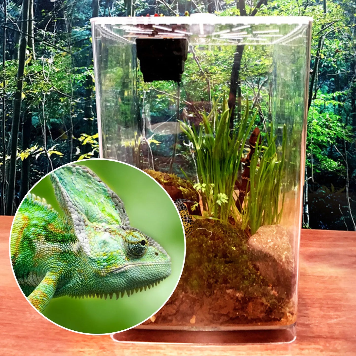 Large Acrylic Reptile Terrarium Gecko Lizard Enclosure