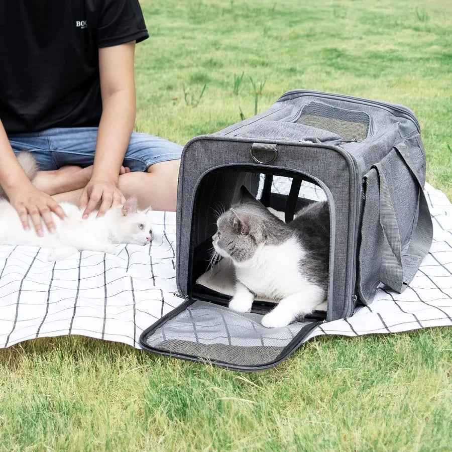 Softsided Pet Carrier For Large Cats And Small Dogs