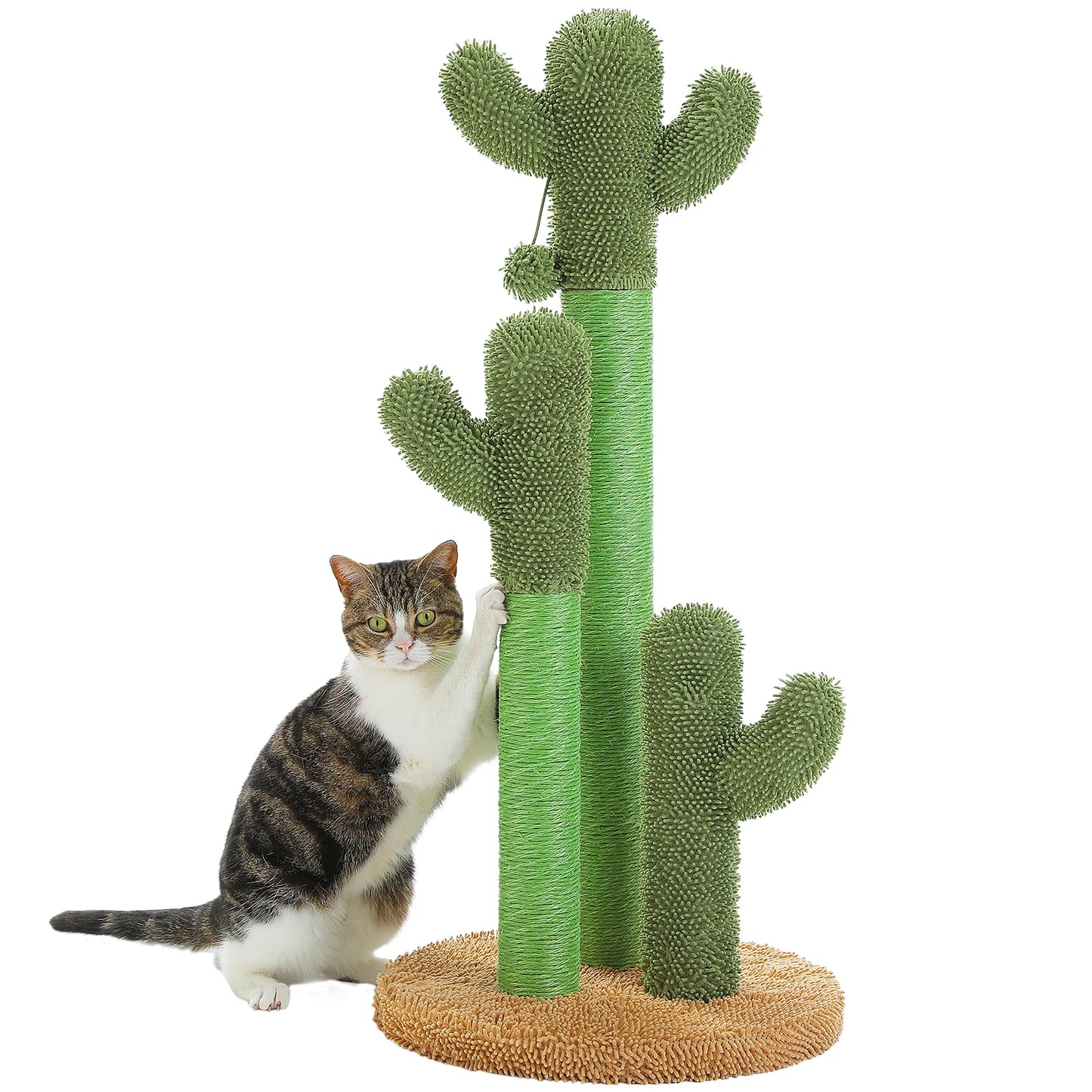 PEQULTICN Cactus Cat Tree Indoor Condo And Hammock Stand