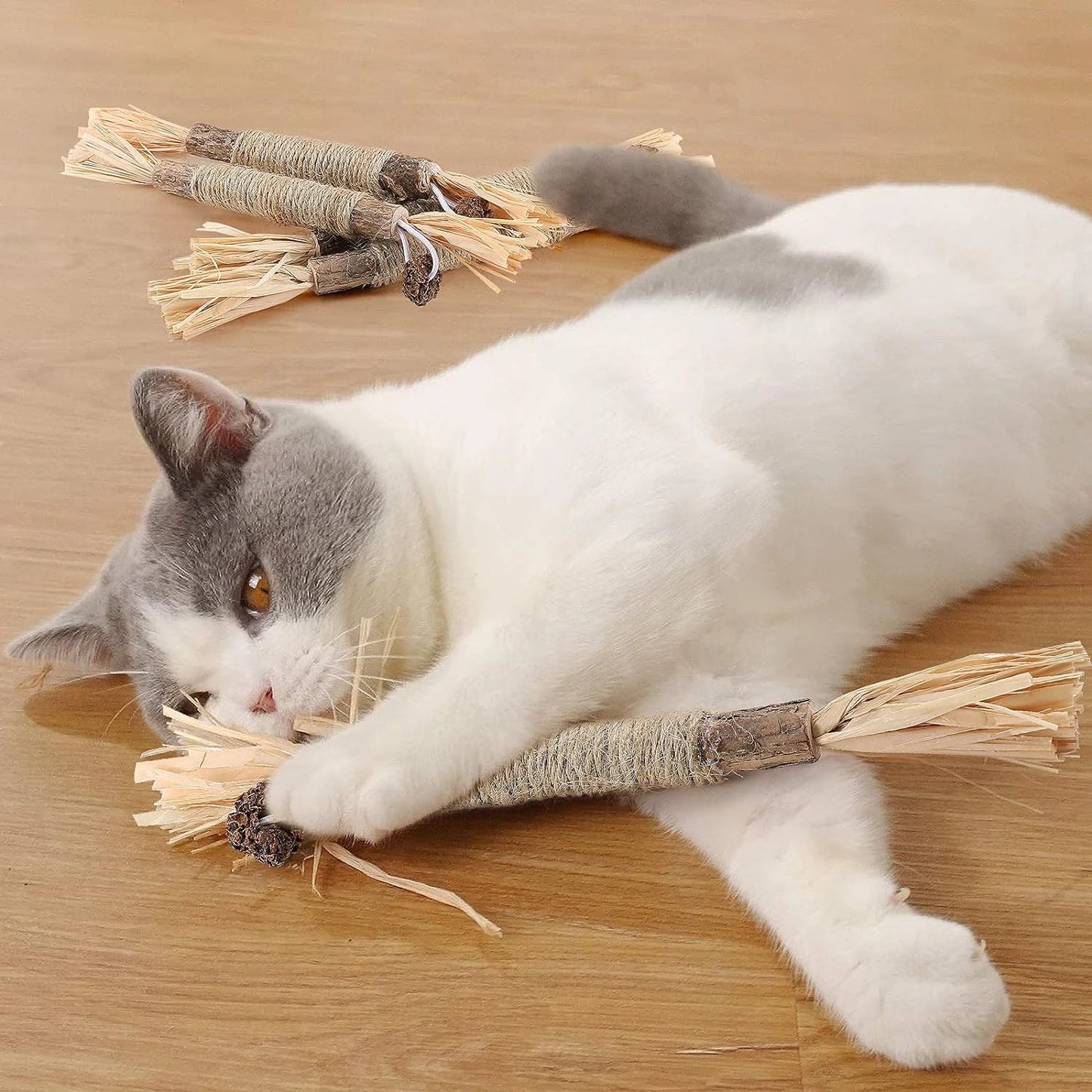 Set of 4 Silver Catnip Sticks for Indoor Cats Interactive Stress Relieving Teeth Cleaning Toys
