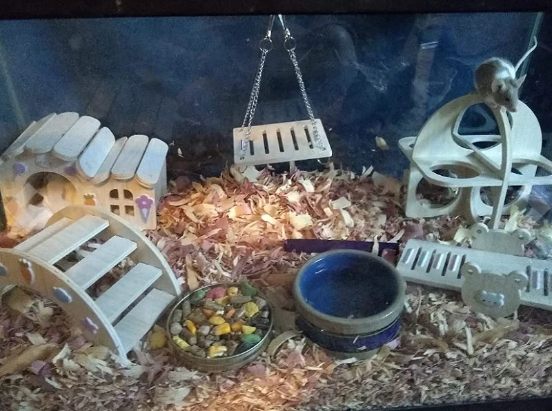 Pet Hamsters House DIY Wooden Gerbil Hideout Bridge Swing and Chinchilla Seesaw Pet Sport Exercise Toys Set Cage Accessories
