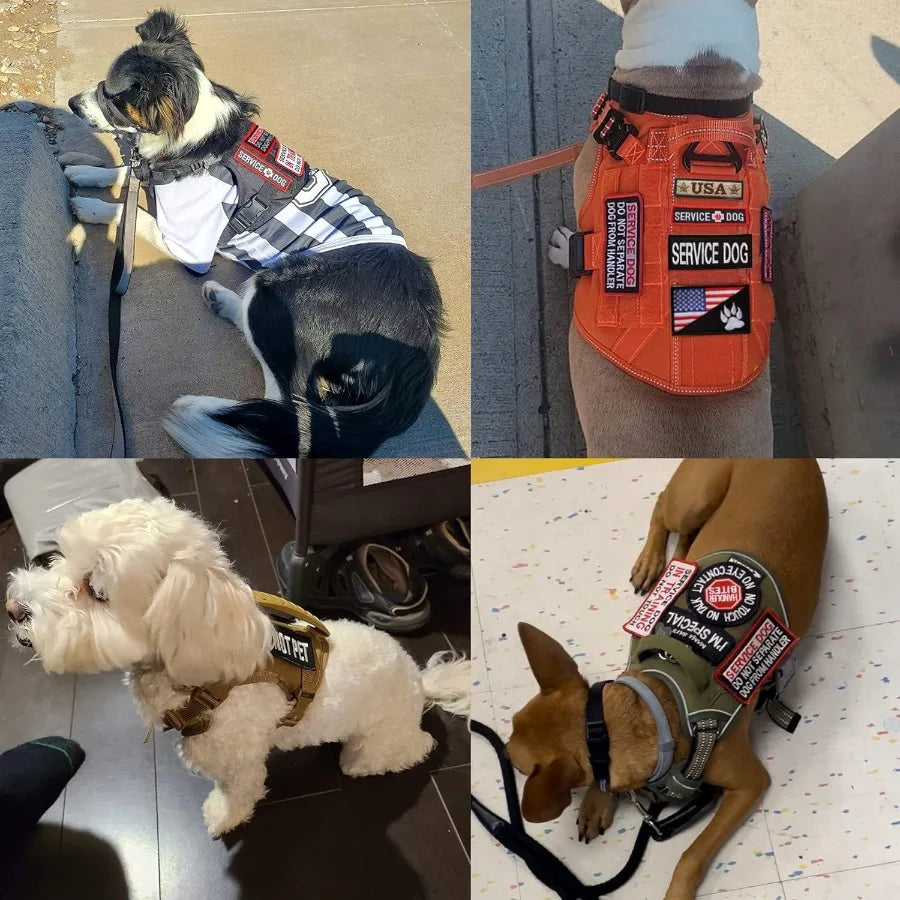 High Concerned Service Dog Patches Removable Tactical Hook Loop Embroidered