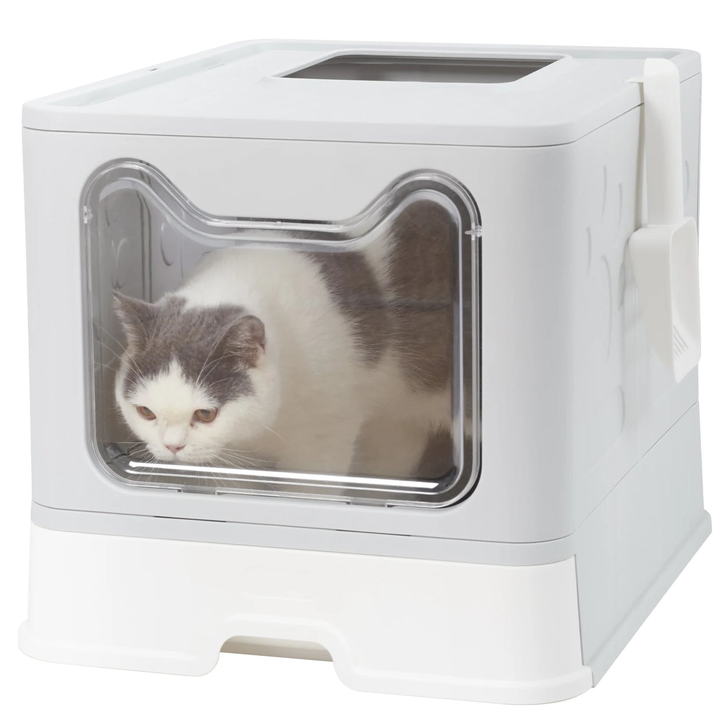 Bingopaw Cat Litter Box with Lid Enclosed Potty Large Top Entry Anti Splashing Toilet Easy to Clean with Litter Scoop