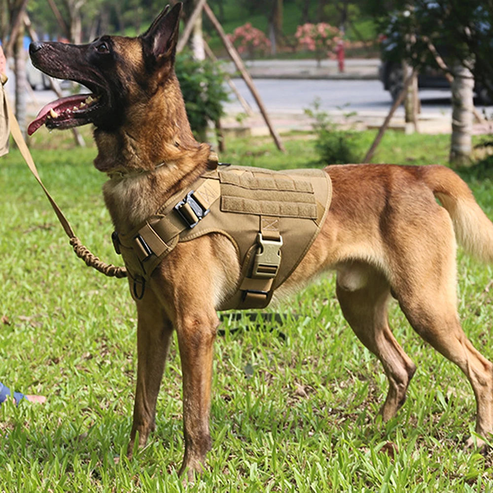 Military Dog Harness Leash Bags Set Pet Tactical Vest Harnesses Walking Training Hunting For Large Dogs German Shepherd