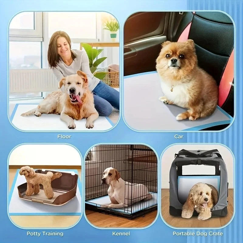 Dog Litter Training Pads Leak Proof Quick Dry Absorbent