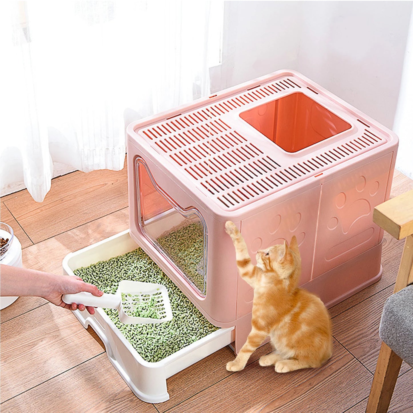 Bingopaw Cat Litter Box with Lid Enclosed Potty Large Top Entry Anti Splashing Toilet Easy to Clean with Litter Scoop