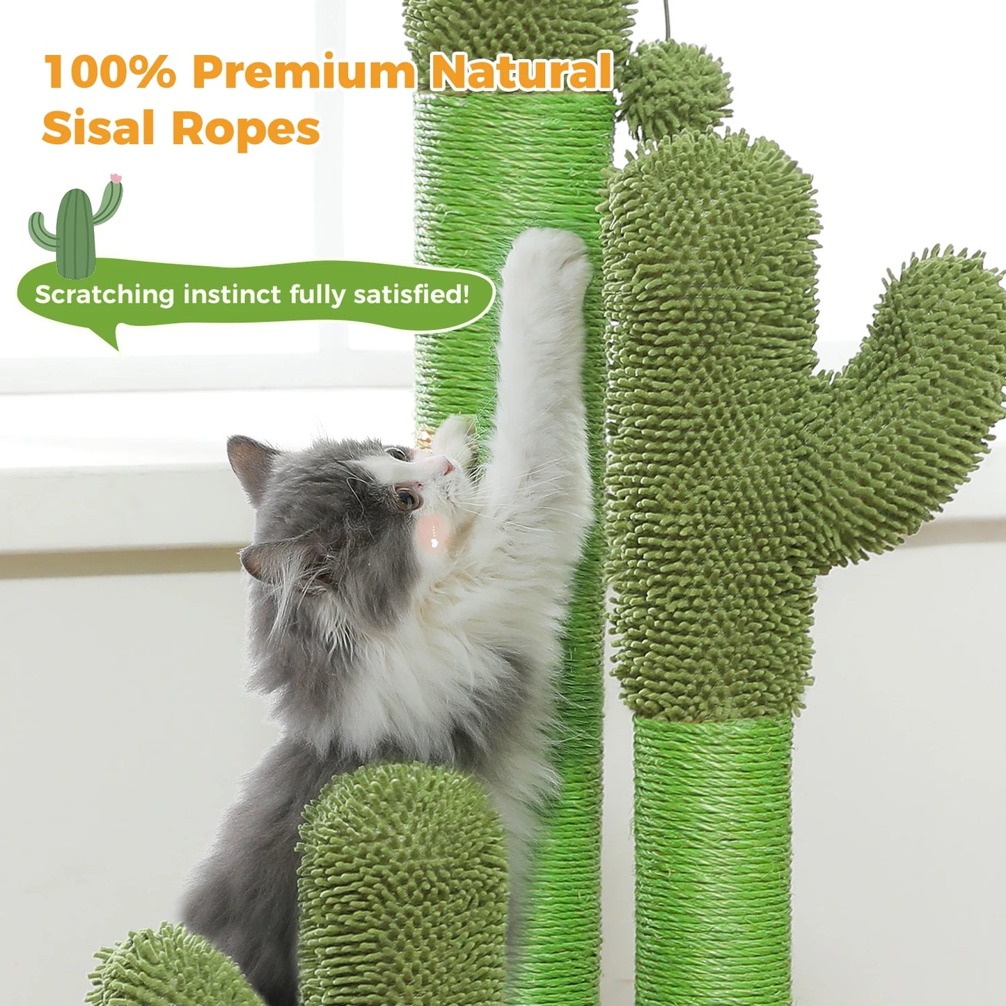 PEQULTICN Cactus Cat Tree Indoor Condo And Hammock Stand