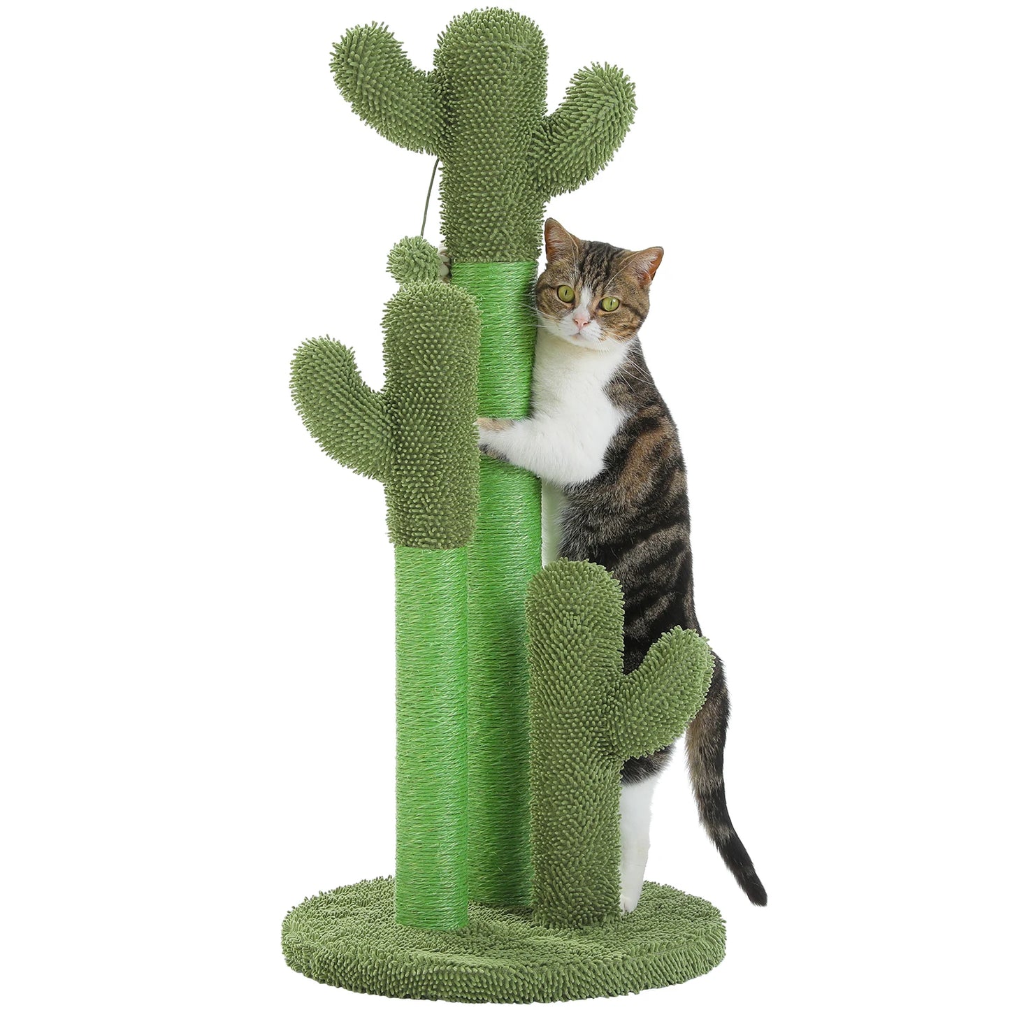PEQULTICN Cactus Cat Tree Indoor Condo And Hammock Stand
