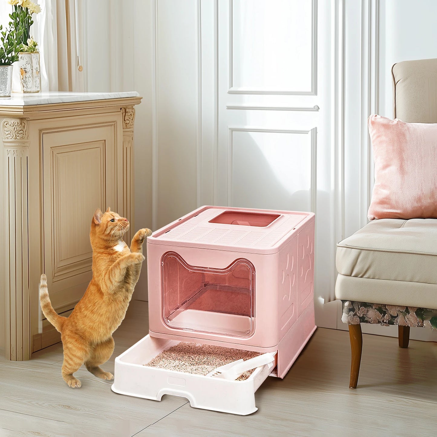 Bingopaw Cat Litter Box with Lid Enclosed Potty Large Top Entry Anti Splashing Toilet Easy to Clean with Litter Scoop