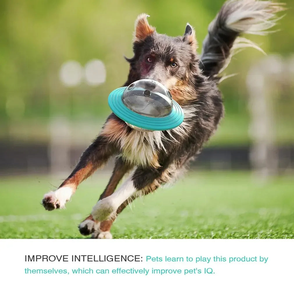 Flying Saucer Dog Toy Slow Feeder Puzzle Ball Training