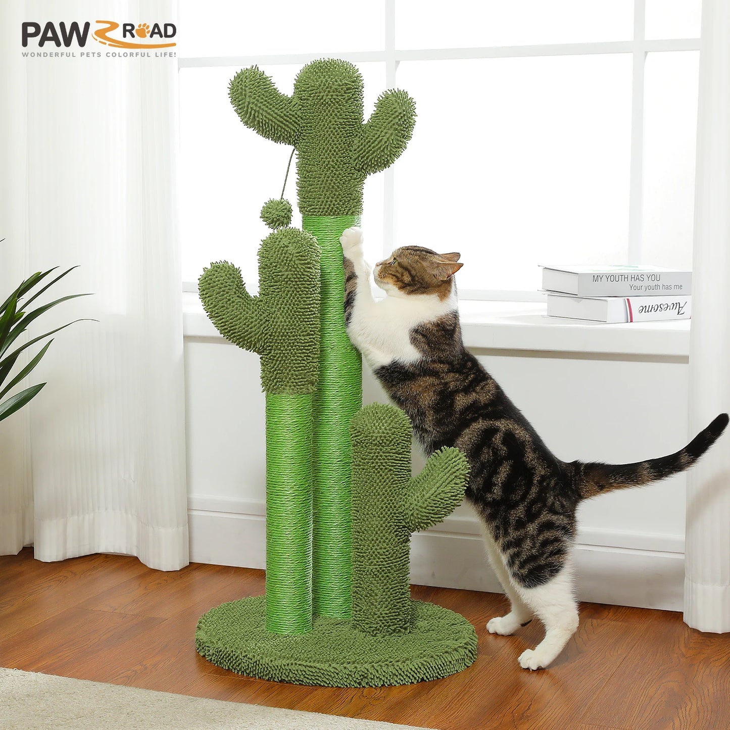 PEQULTICN Cactus Cat Tree Indoor Condo And Hammock Stand