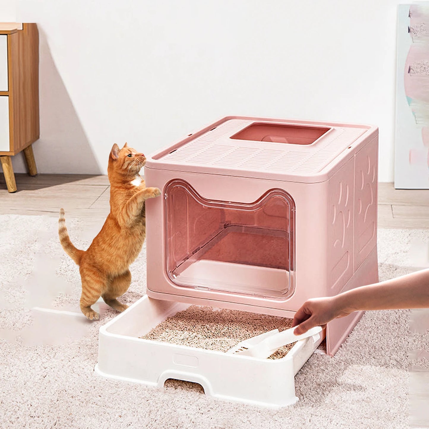 Bingopaw Cat Litter Box with Lid Enclosed Potty Large Top Entry Anti Splashing Toilet Easy to Clean with Litter Scoop