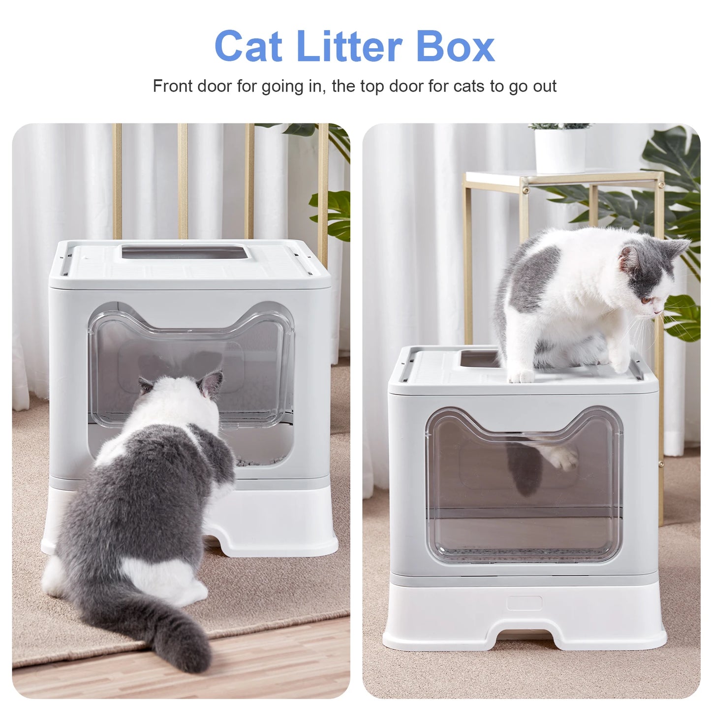 Bingopaw Cat Litter Box with Lid Enclosed Potty Large Top Entry Anti Splashing Toilet Easy to Clean with Litter Scoop