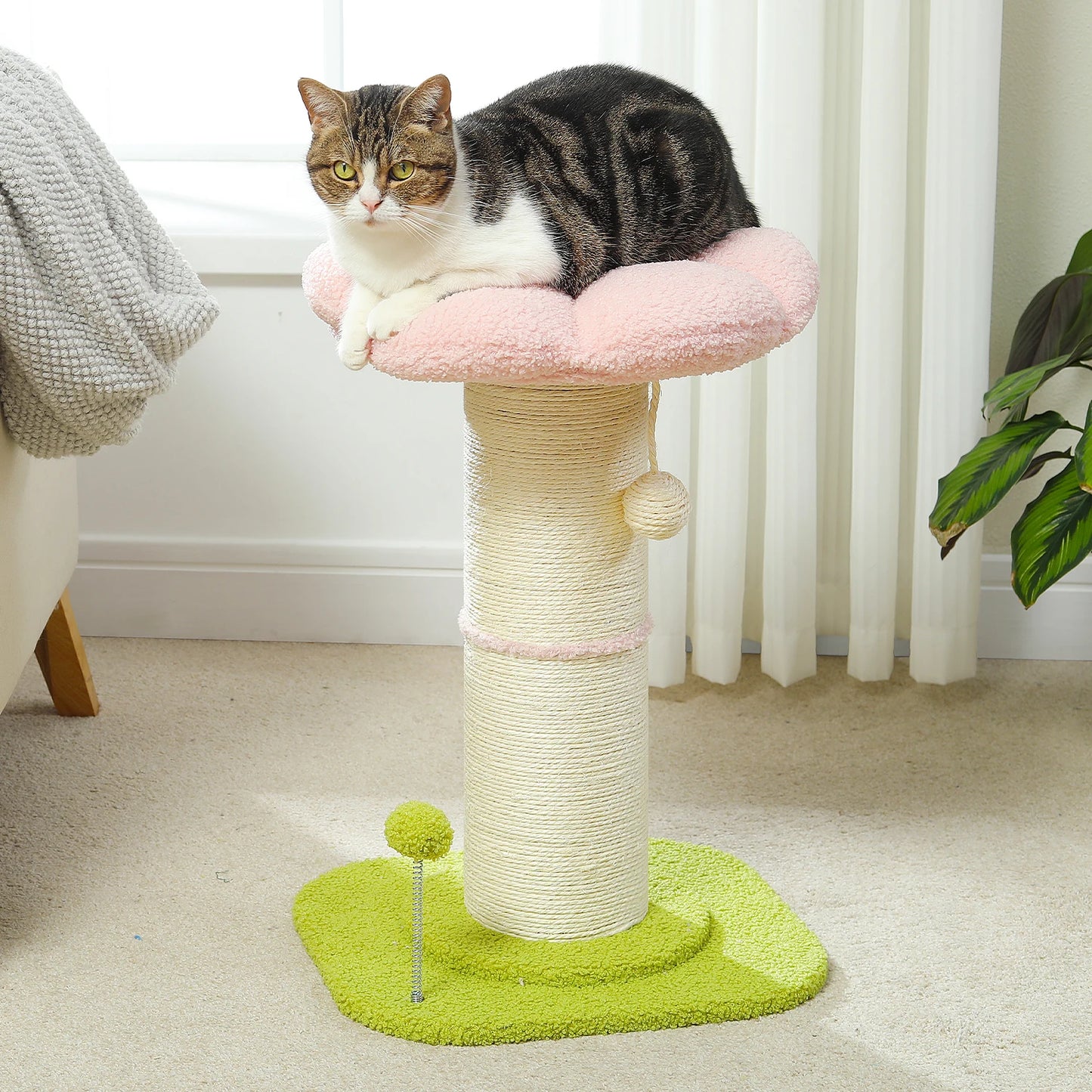 Flower Cat Scratching Post Small Cat Tree Tower Cat Scratcher Indoor Cats Super Thick Scratching Post Removable Cat Bed