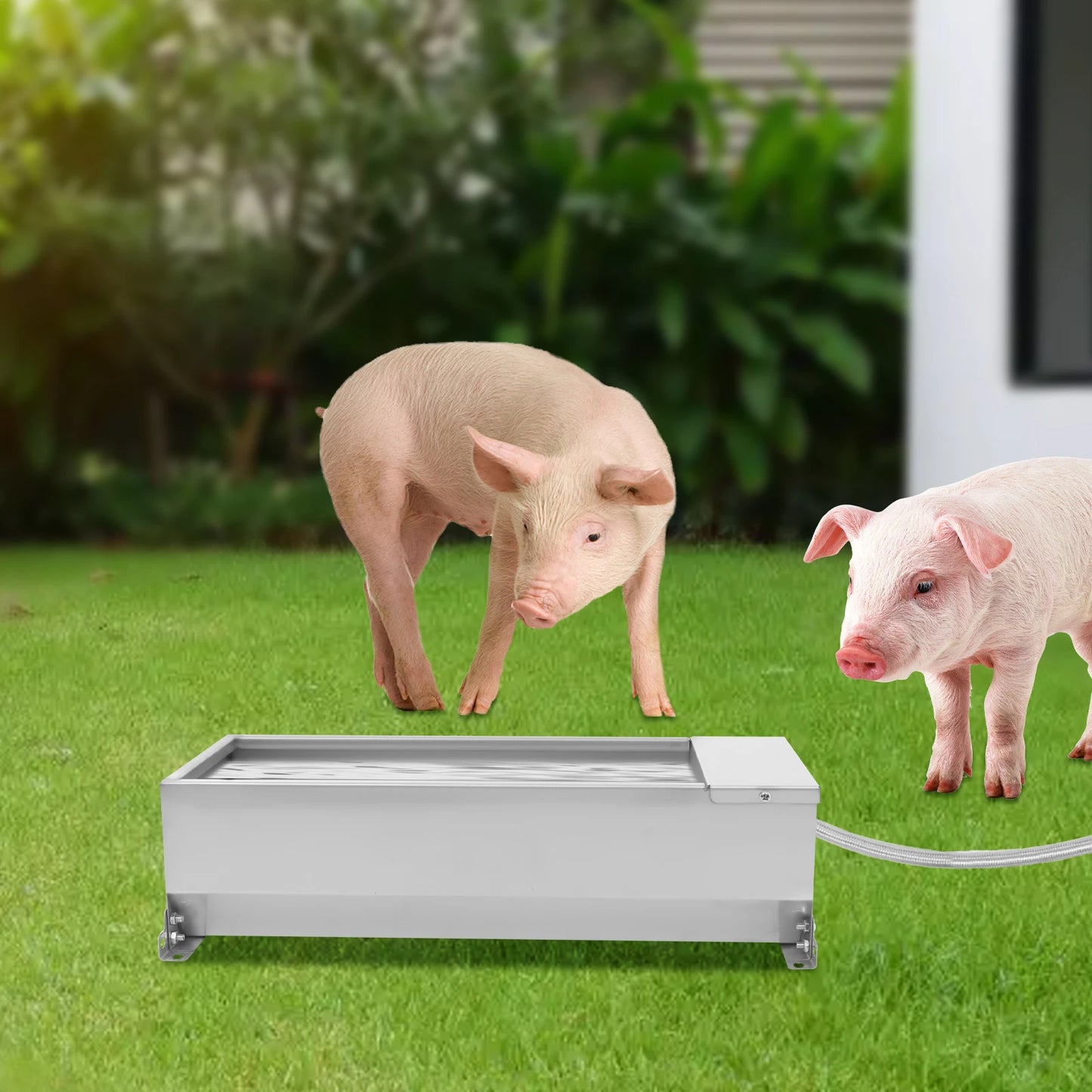 Automatic Livestock Water Tank Large Capacity Self Filling Dog Waterer Animal Drinking Bowl with Float Valve