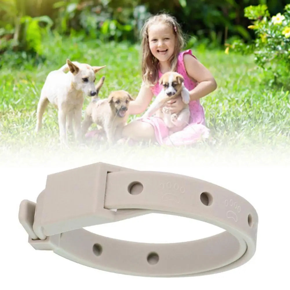 Anti Flea Tick Collar for Cats and Dogs 8 Month Protection