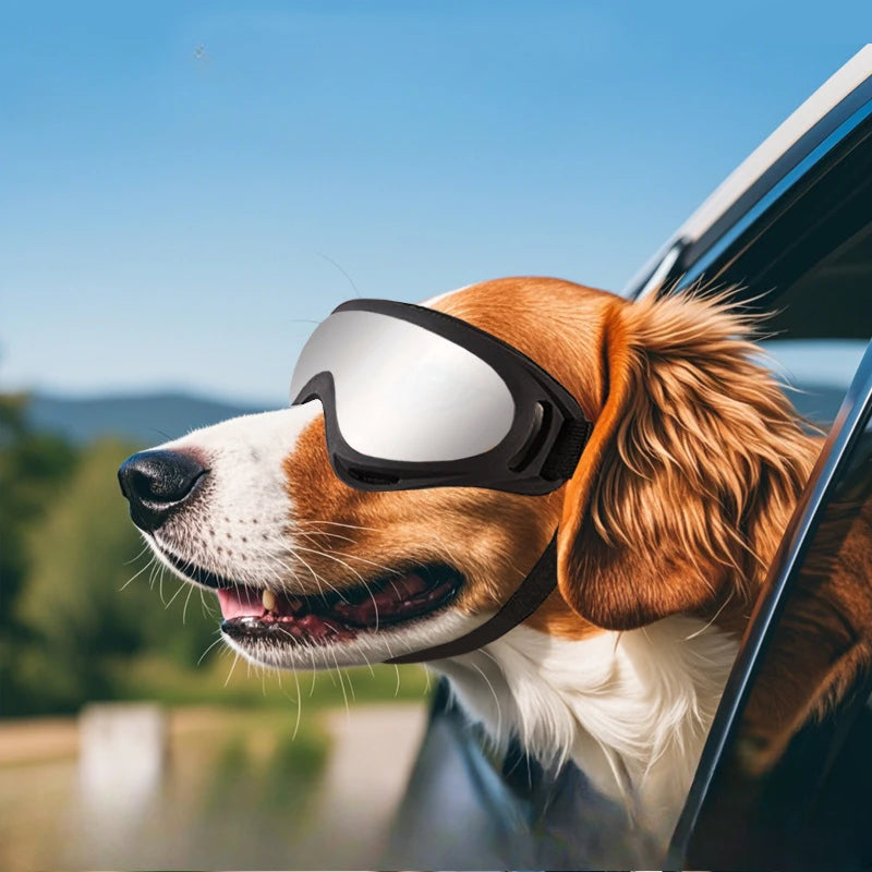 Outdoor Dog Goggles UV Protection For Large Dogs Windproof