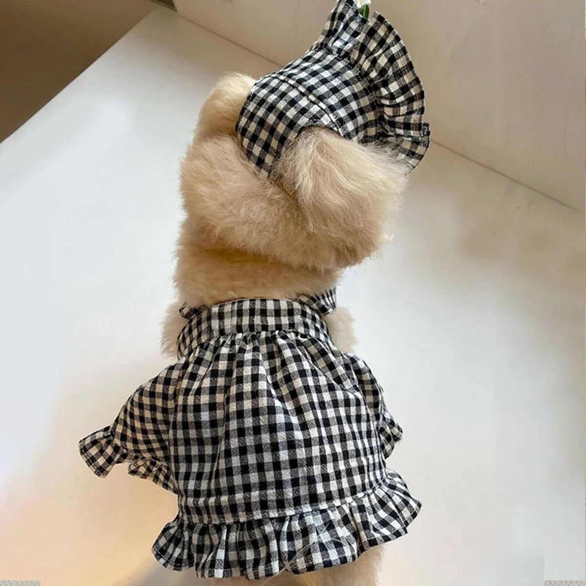 WAOPETCN Fashion Dog Clothes Plaid Skirt With Hat Set