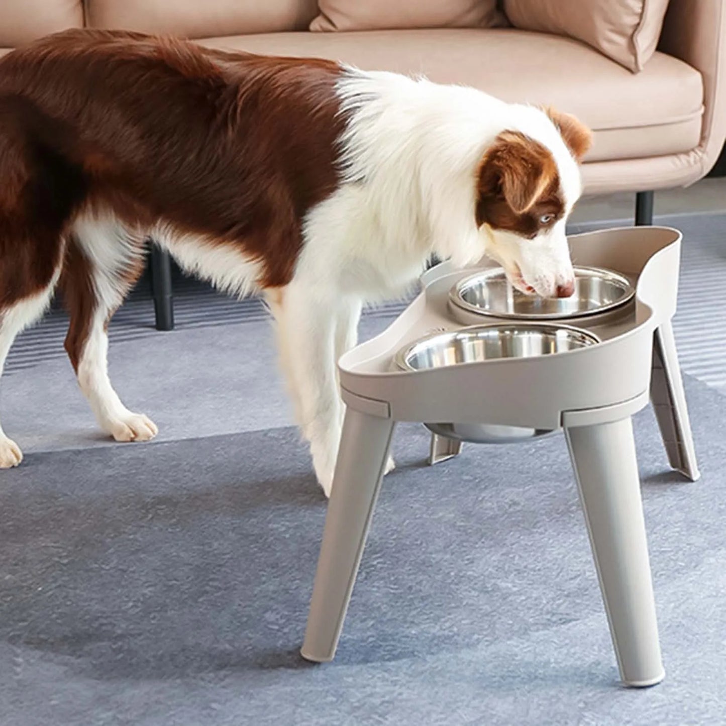 Raised Stand Elevated Dog Feeder Non Slip No Spill Design Stainless Steel Bowl Pet Supplies