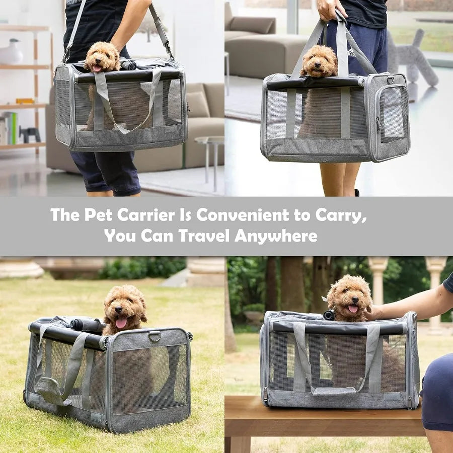 Softsided Pet Carrier For Large Cats And Small Dogs