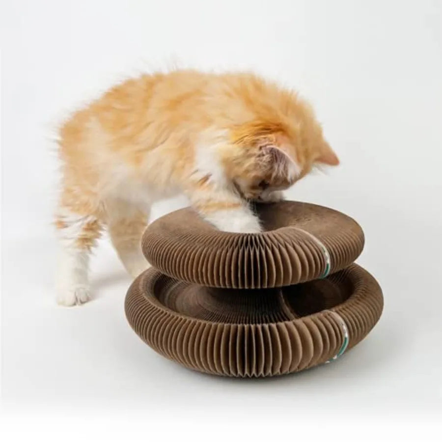 Magic Organ Cat Scratching Board And Accordion Toy Cardboard Slinky