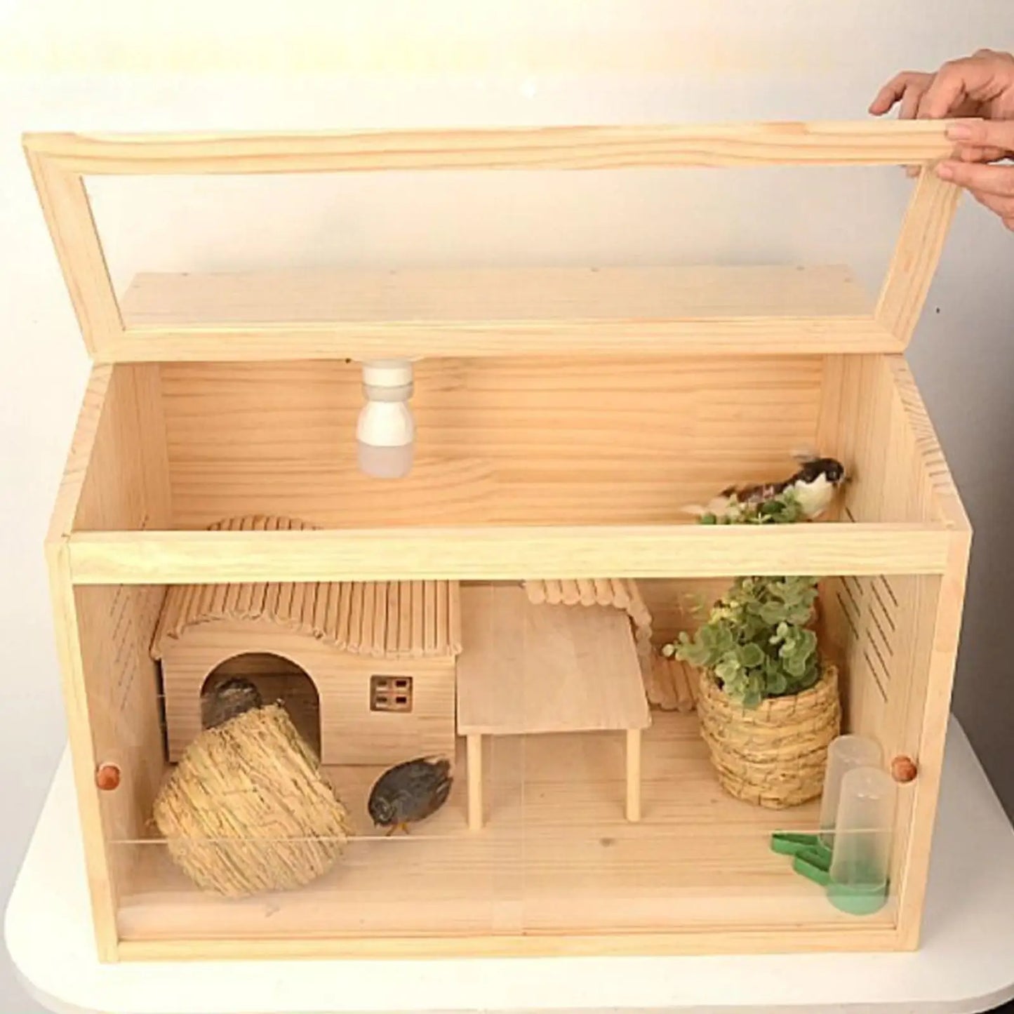 Wooden Chick Brooder Box Small Animals Hamster Habitat