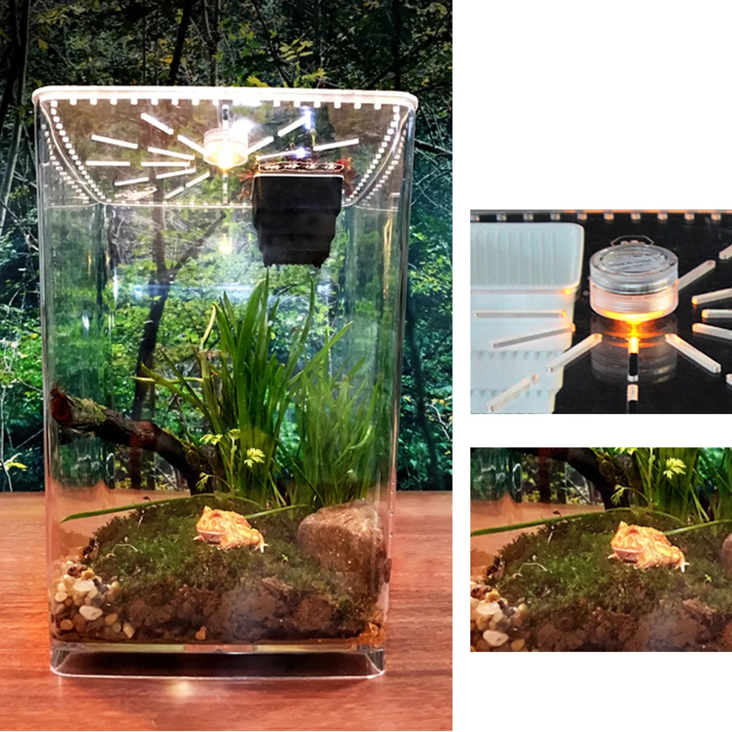 Large Acrylic Reptile Terrarium Gecko Lizard Enclosure