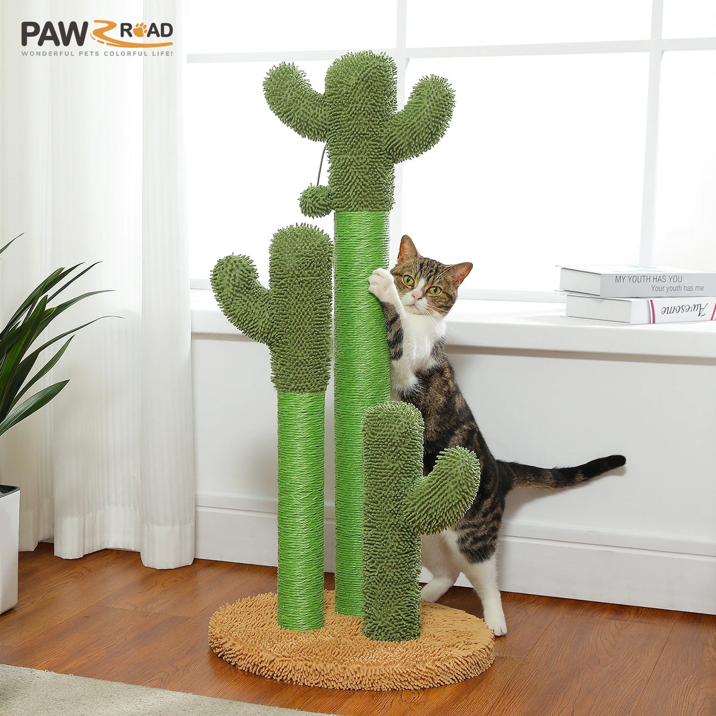 PEQULTICN Cactus Cat Tree Indoor Condo And Hammock Stand