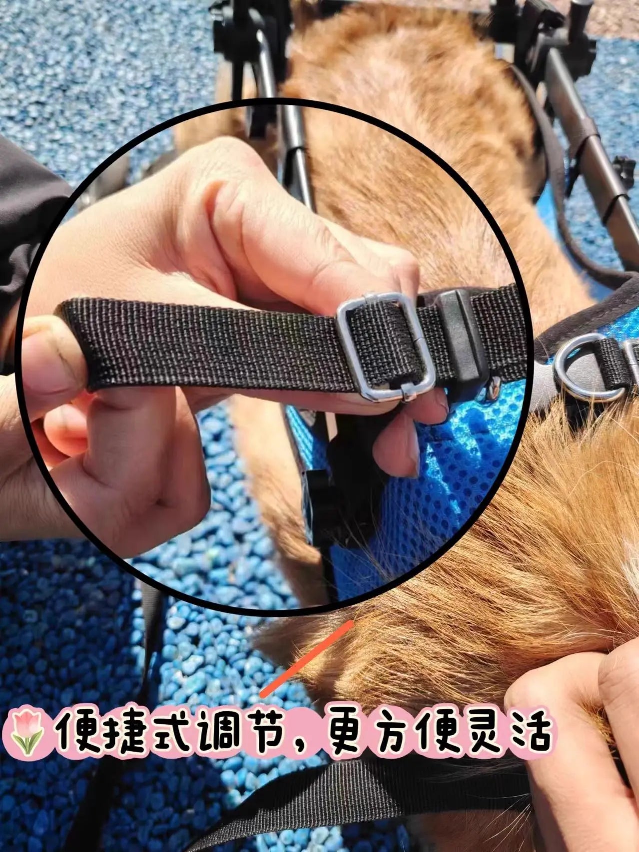 Adjustable Dog Wheelchair For Hind Leg Paralysis Large