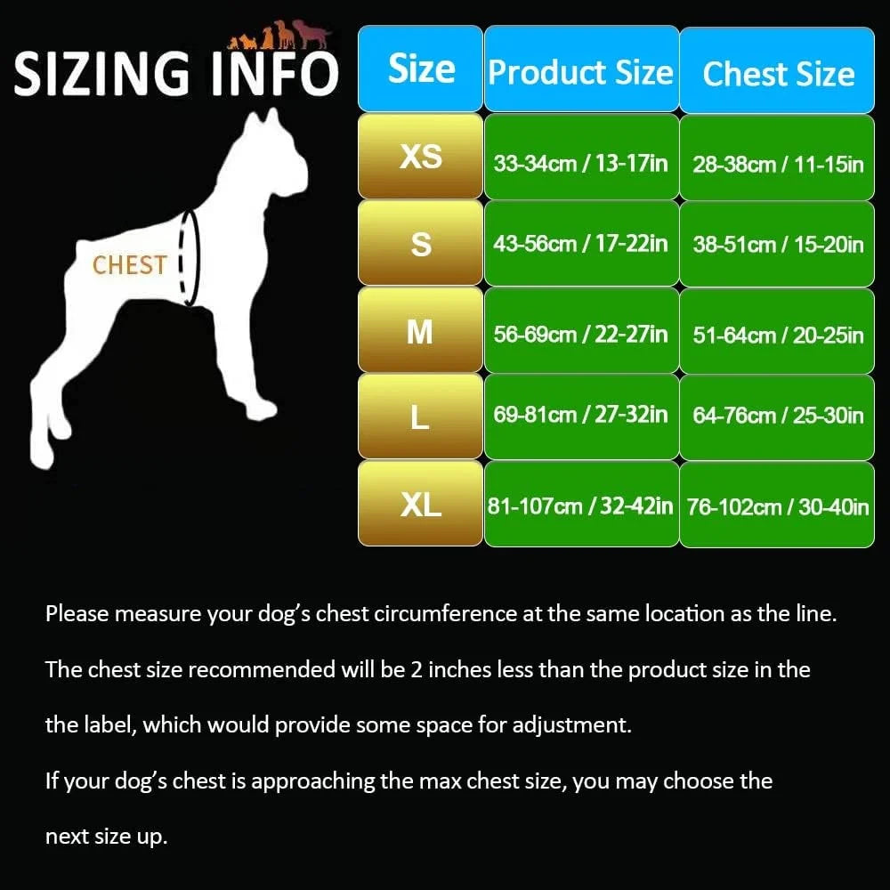 Reflective No Pull Dog Harness Soft Ergonomic Design with Handle Two Leash Attachments Lightweight Comfortable Nylon Webbing