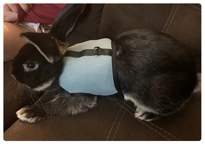 Rabbit Harness and Leash Set Bunny Pet Accessories Vest Harnesses Rabbit Leashes for Outdoor Walking Pets Supplies