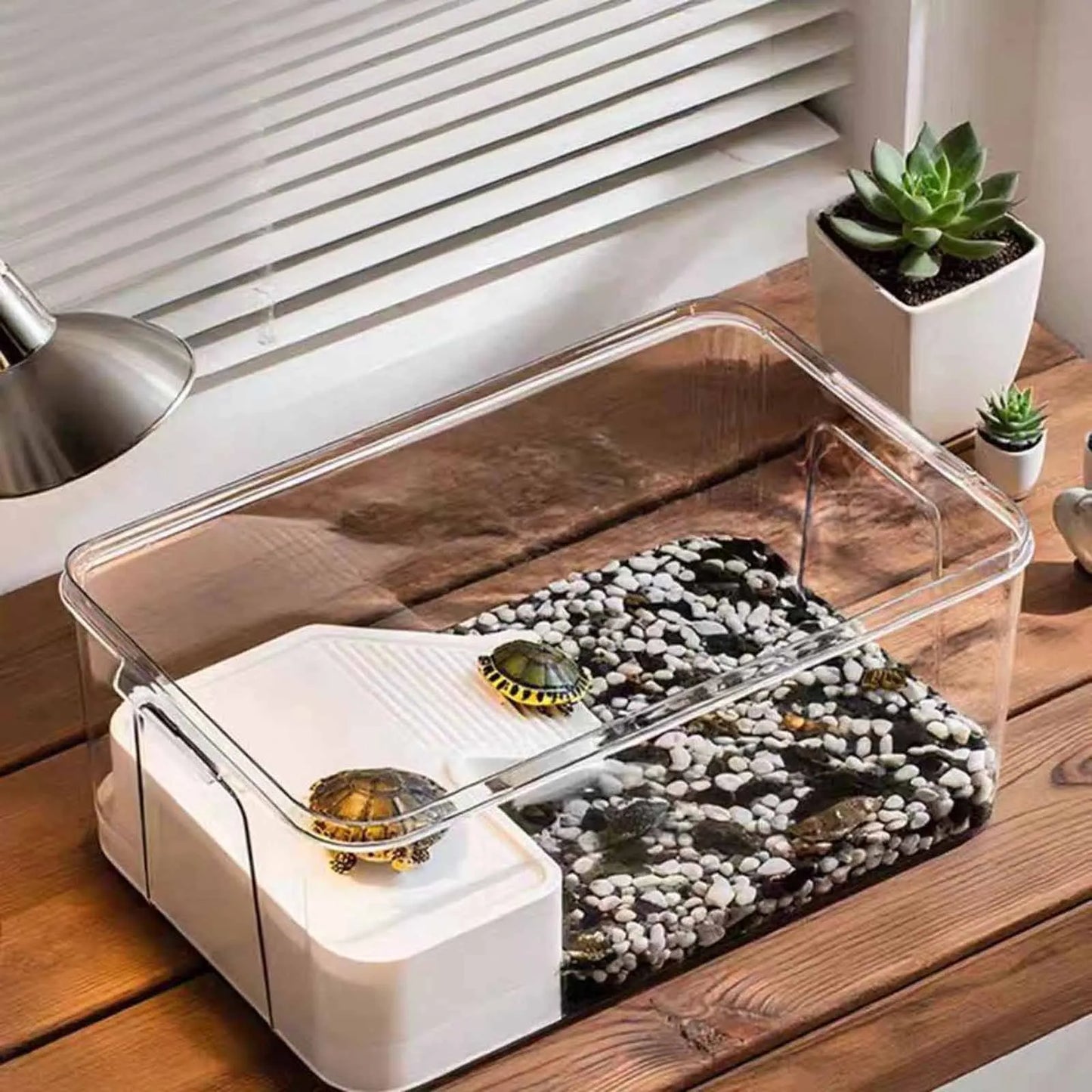 Turtle Tank With Basking Ramp Reptile Habitat Plastic Terrarium