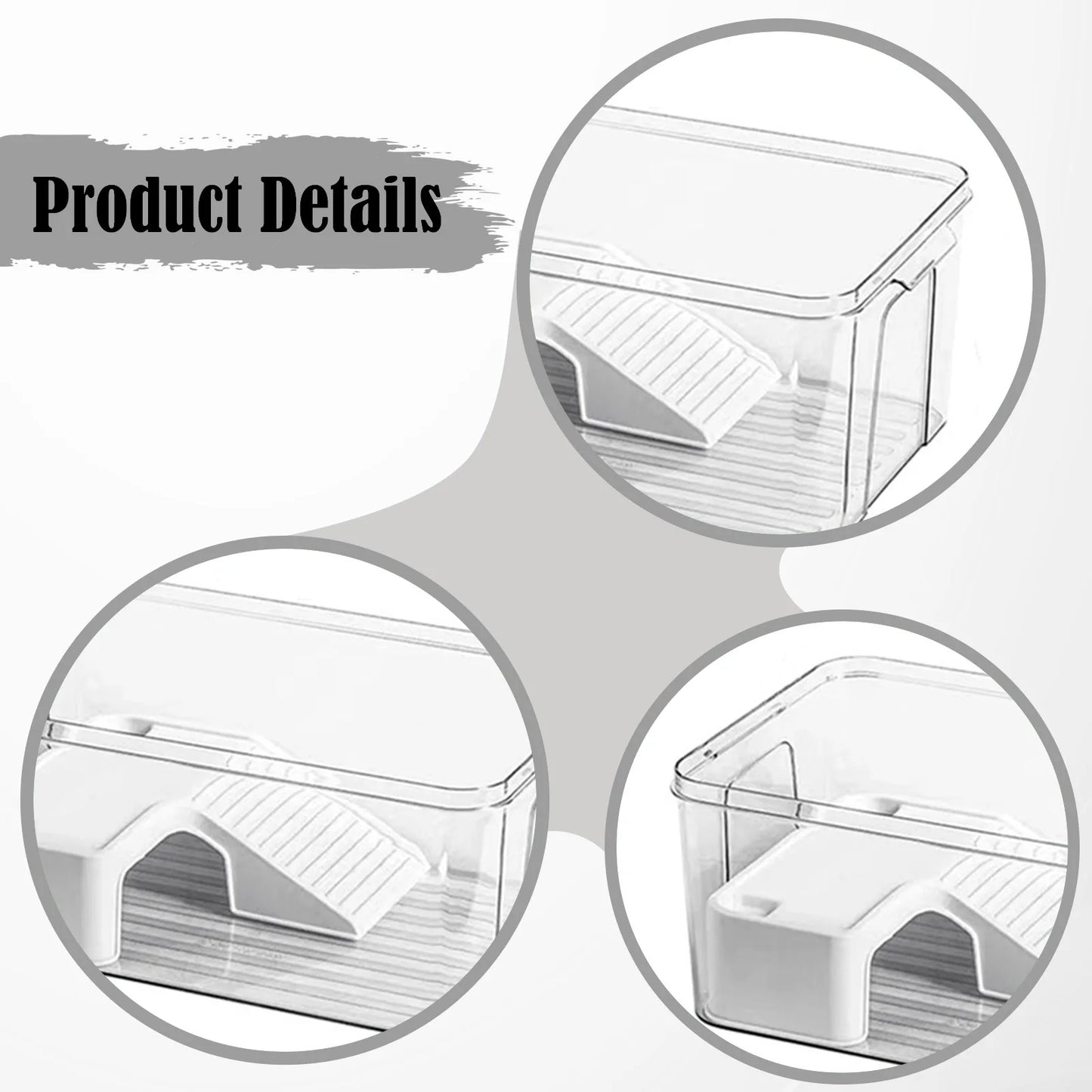 Turtle Tank With Basking Ramp Reptile Habitat Plastic Terrarium