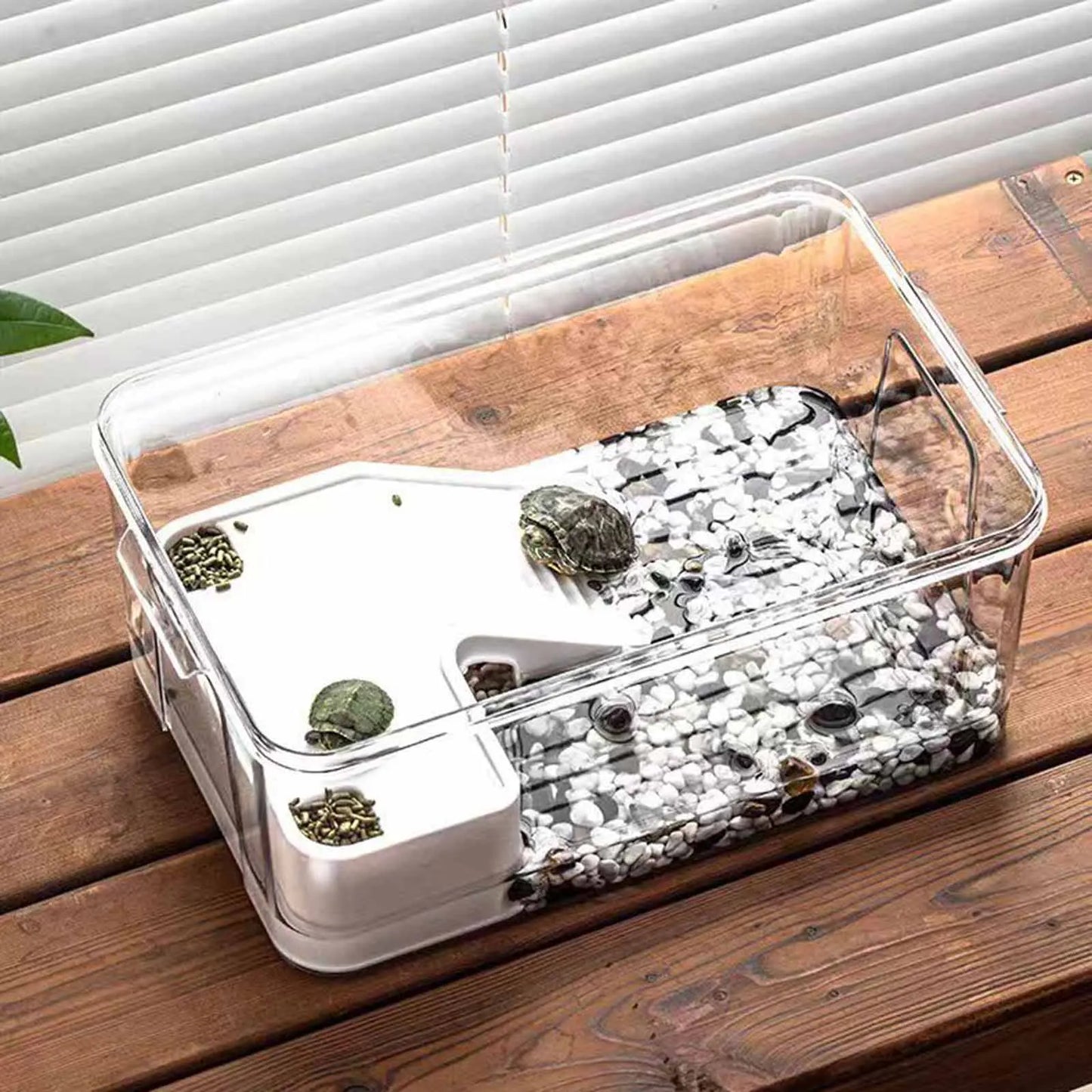 Turtle Tank With Basking Ramp Reptile Habitat Plastic Terrarium