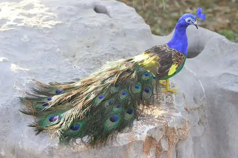 Peacock Real Life Model Foam and Feather Simulation 60cm