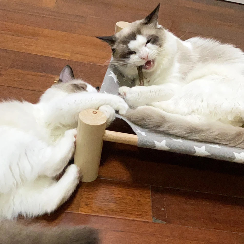 Natural Catnip Stick Cat Cleaning Teeth Molar Toothpaste Stick Silvervine Actinidia Fruit Cat Snacks Sticks Pet Cat Cleaning