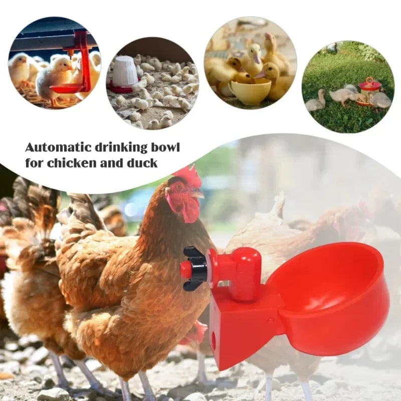 Free shipping Poultry Water Dispenser Chicken Goose Automatic Drinker Plastic Water Feeder Quail Drinker Farm Yard Accessories