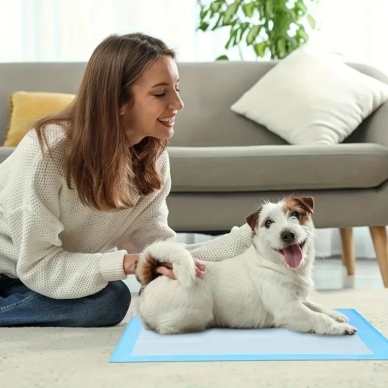 20 large pet pee pads, highly absorbent disposable puppy training pads, leak-proof dog pee pads, odor control diaper pads, essen