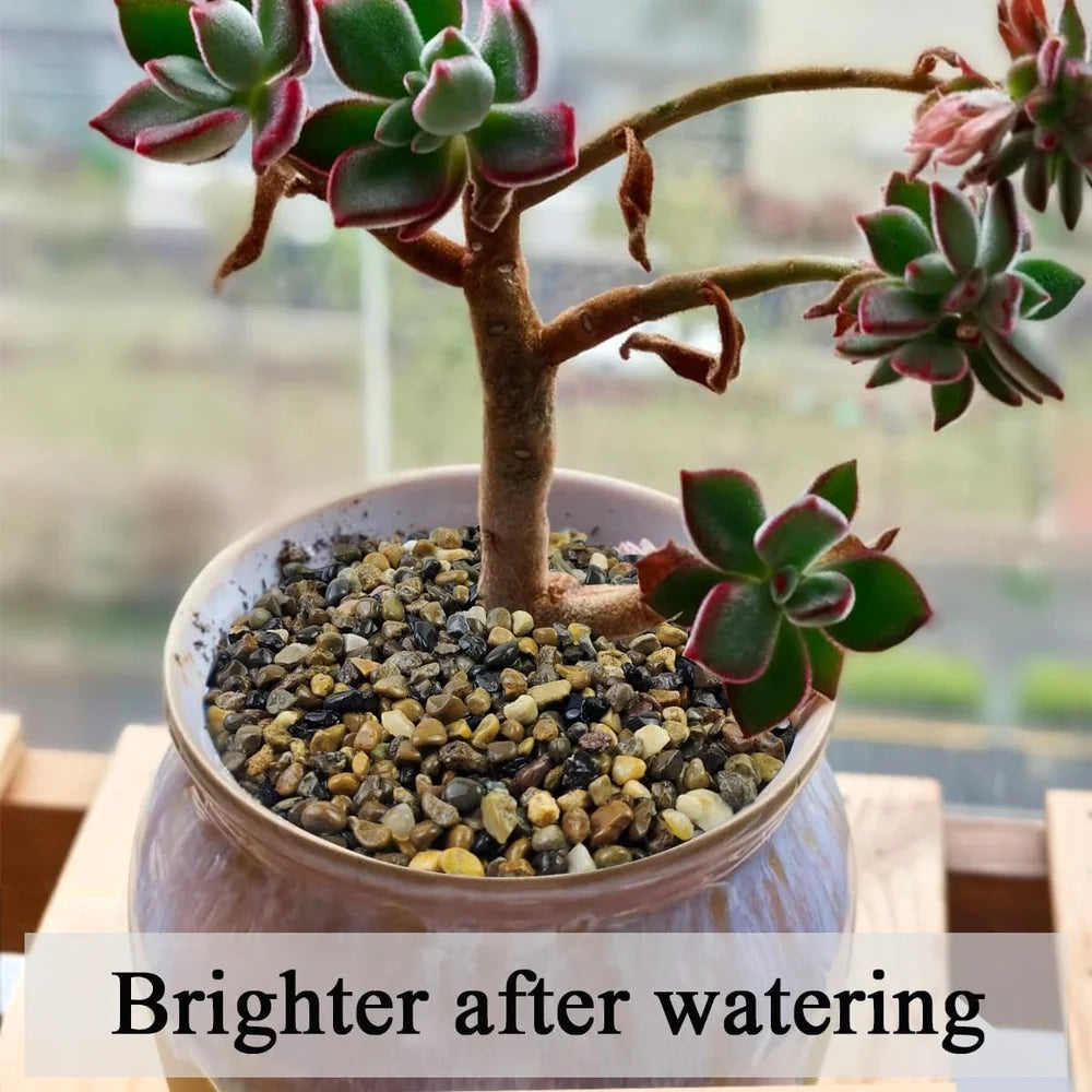 5lbs Pea Gravel Aquarium River Rocks for Plants Fish Tank