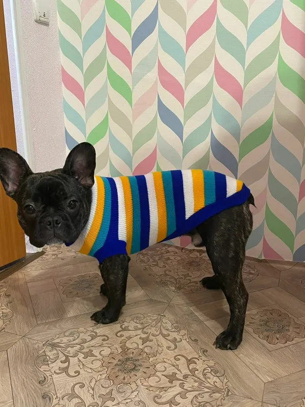 Hubei Dog Winter Sweater Knit Coat For Canine Comfort