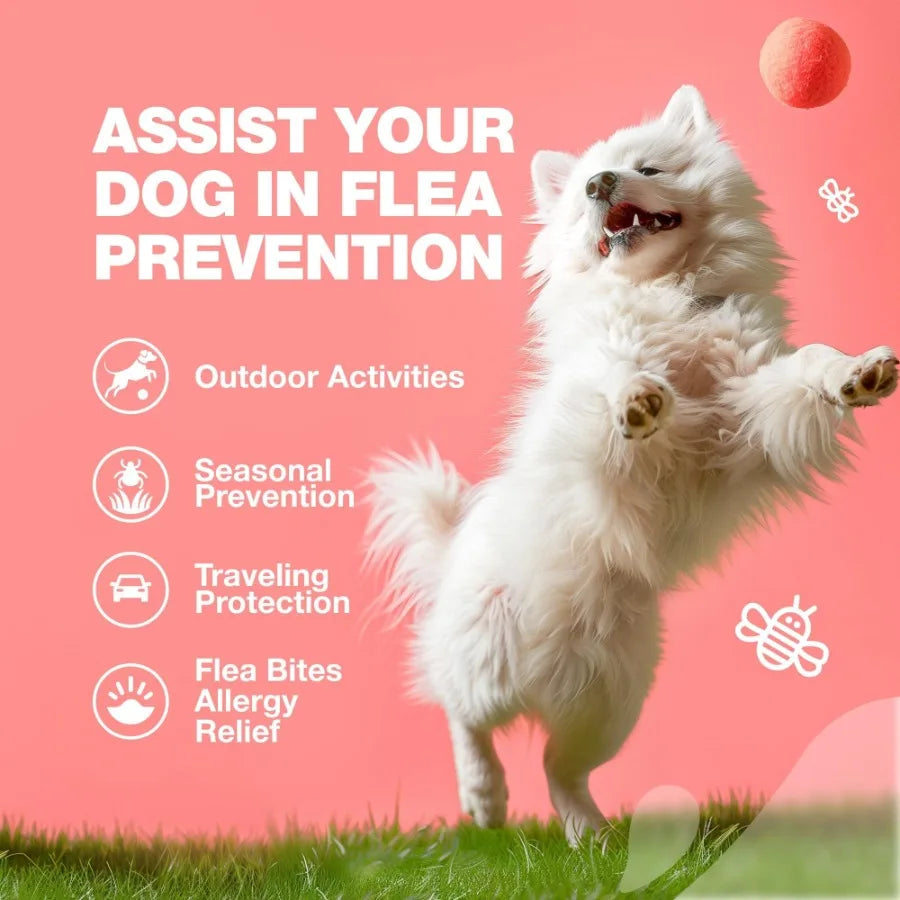 Dog Flea and Tick Treatment Chews Natural Flea Tick Prevention for Dogs Soft Treats Immune Support