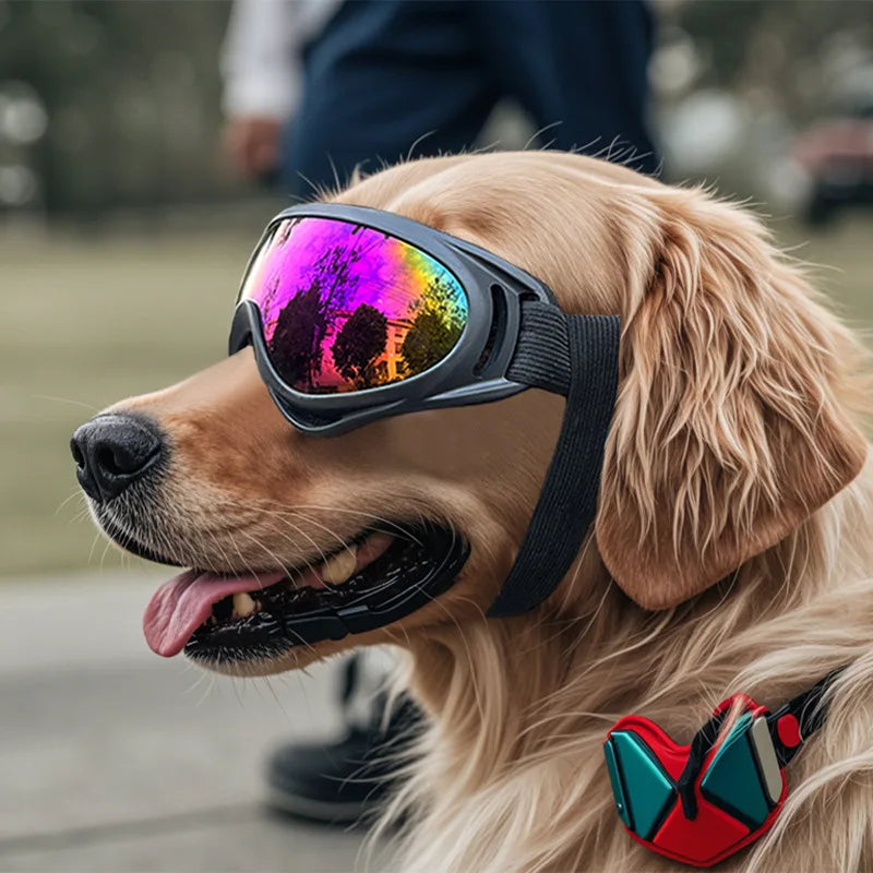 Outdoor Dog Goggles UV Protection For Large Dogs Windproof