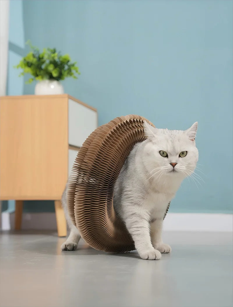 Foldable Cat Scratching Board Toy For Kittens Durable Recyclable Cardboard