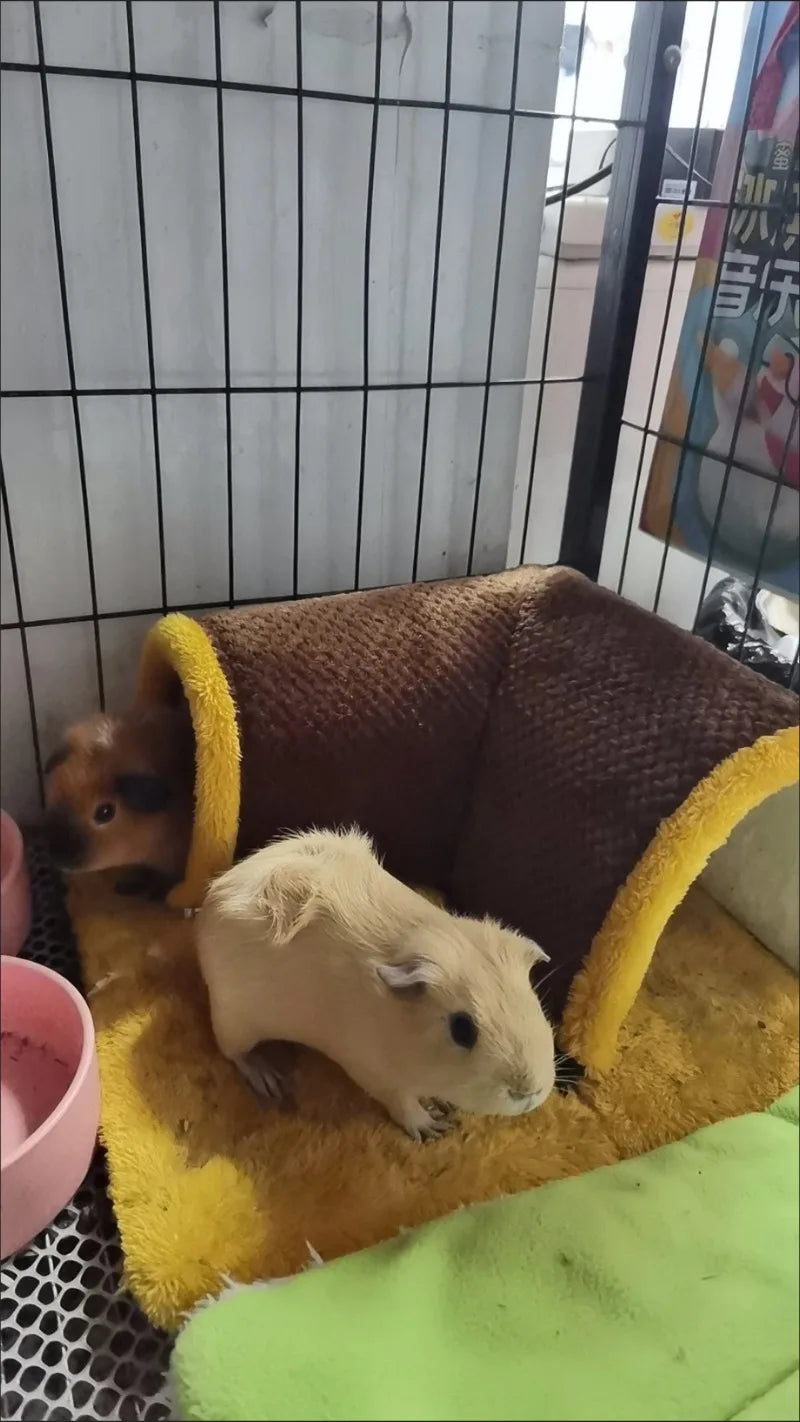 Winter Warm Plush Pet Nest Removable Fleece Tunnel Cage Hideout for Guinea Pig Hamster Rat Squirrel Small Animal Accessories