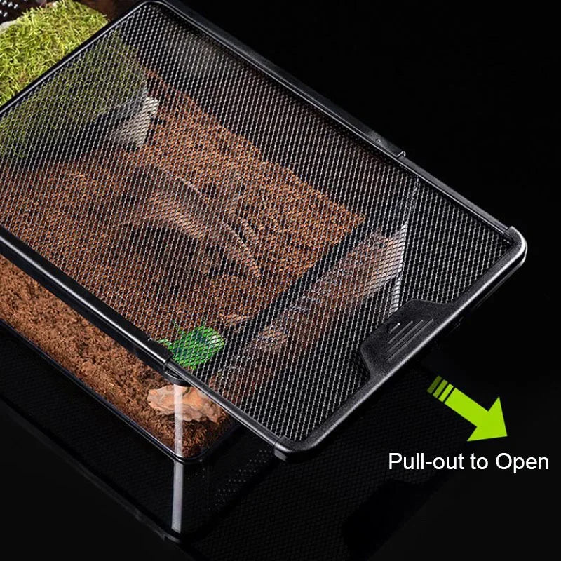 Choice Transparent Reptile Breeding Box For Lizards Insects Beetles Pet Habitat Acrylic